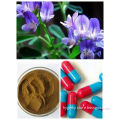 Medicago Sativa, Alfalfa Saponins, Alfalfa Extract (OEM, ODM)